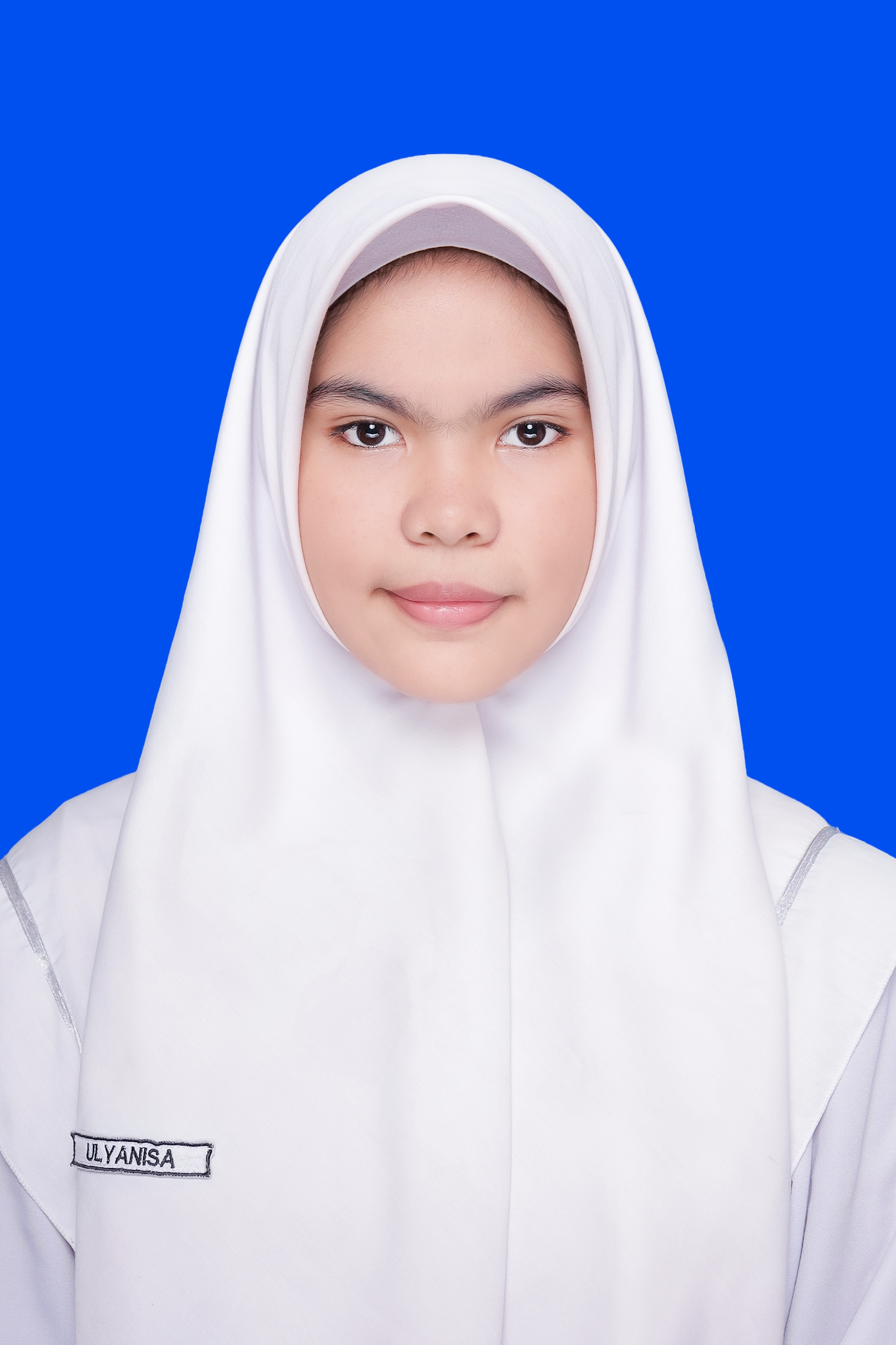 Ulyanisa