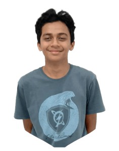 M. Salman Alfarisi